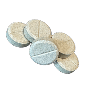 Lion's Mane Mushroom Tablet Sample