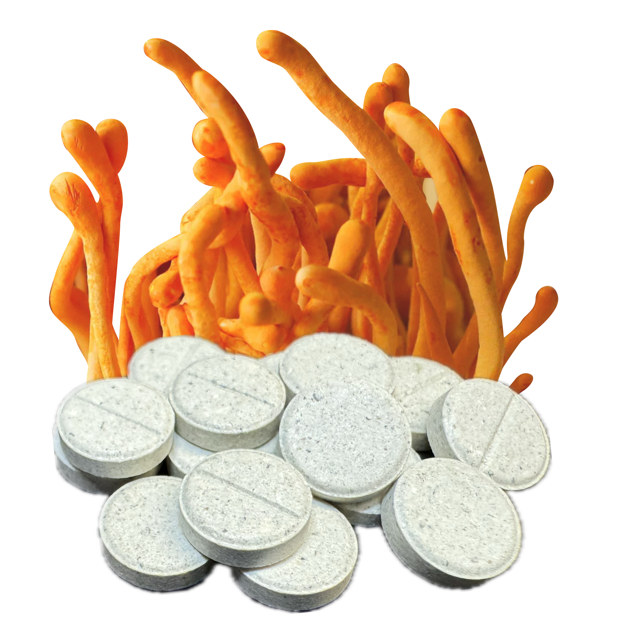 Cordyceps 50mg Tablets