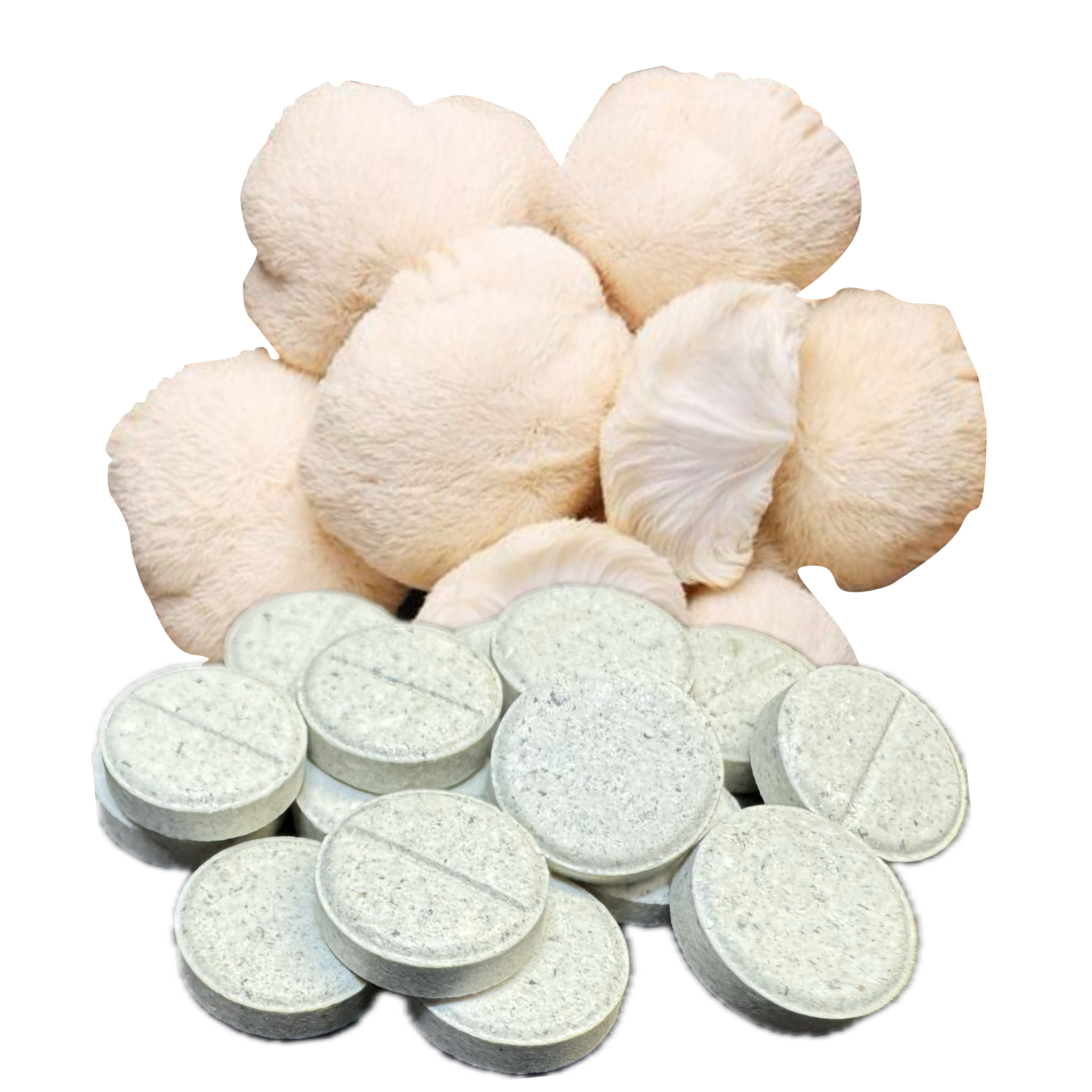 Lion's Mane 50mg Tablets