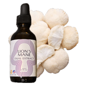 Lion's Mane Dual Extract - 2oz