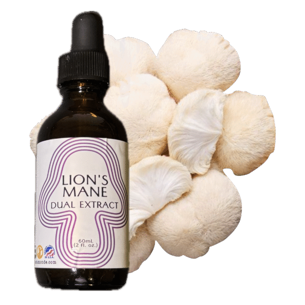 Lion's Mane Dual Extract - 2oz