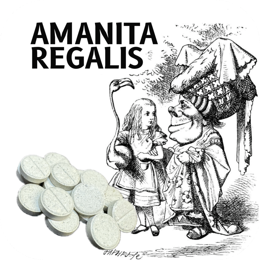 A. regalis 50mg