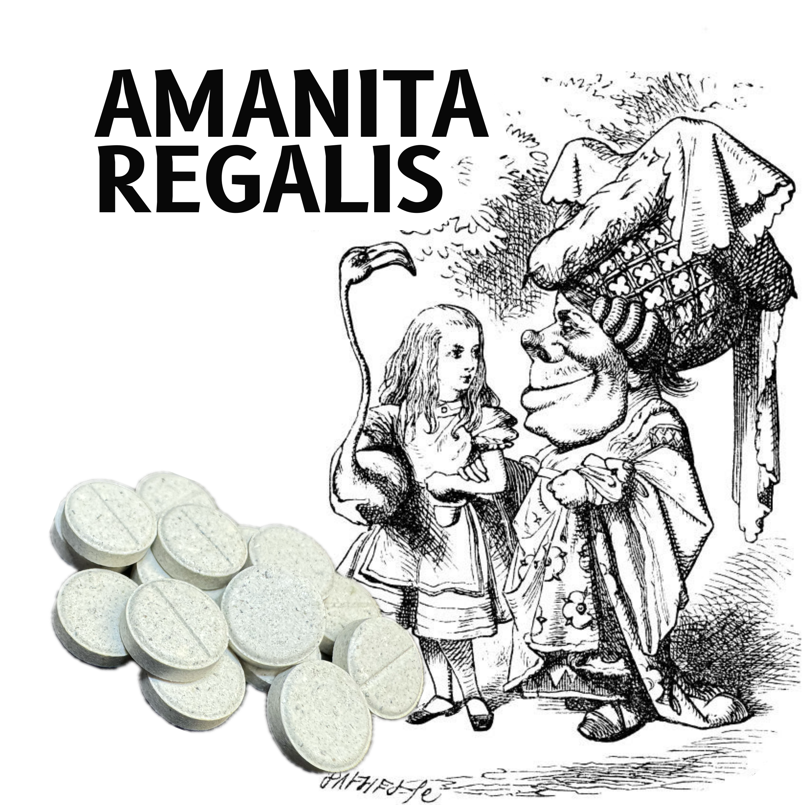 A. regalis 50mg
